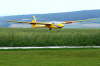 SZD 50 Puchasz Landeanflug