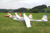 SZD 59 Familie DM 08 in Flachslanden